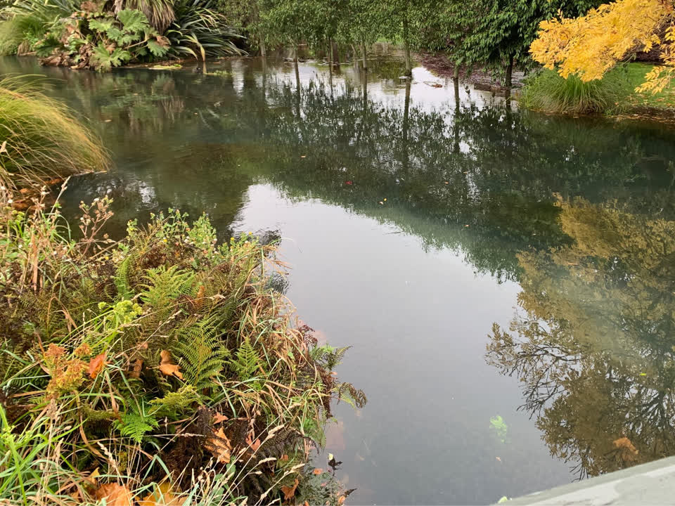 The photograph attached to this wastewater/stormwater report