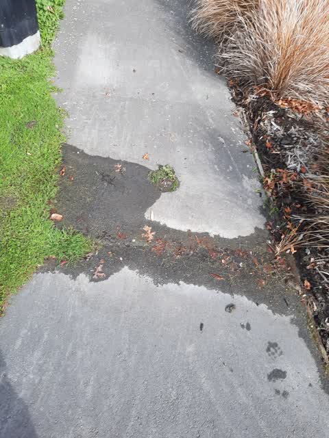 Water Leak, a report photo