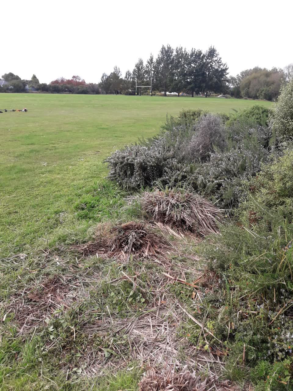 The photograph attached to this parks report
