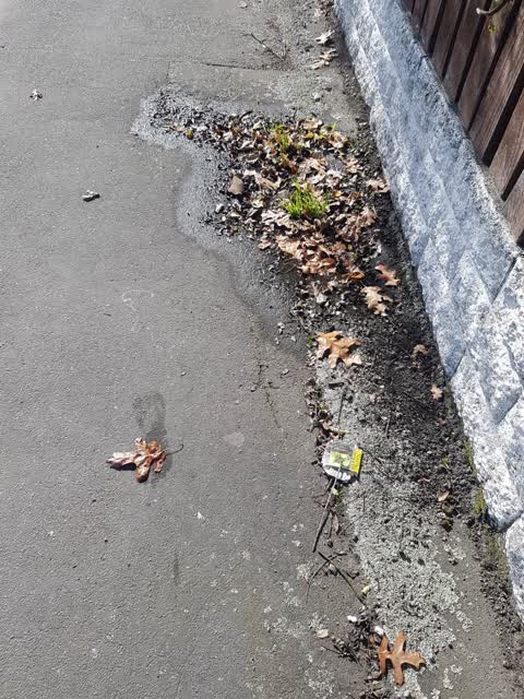 Water Leak, a report photo