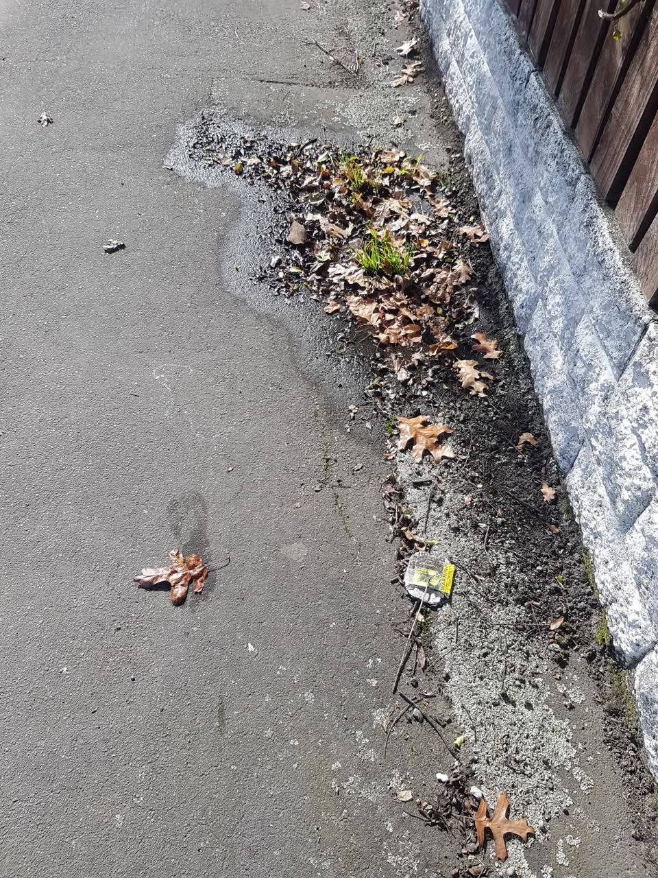 The photograph attached to this water leak report