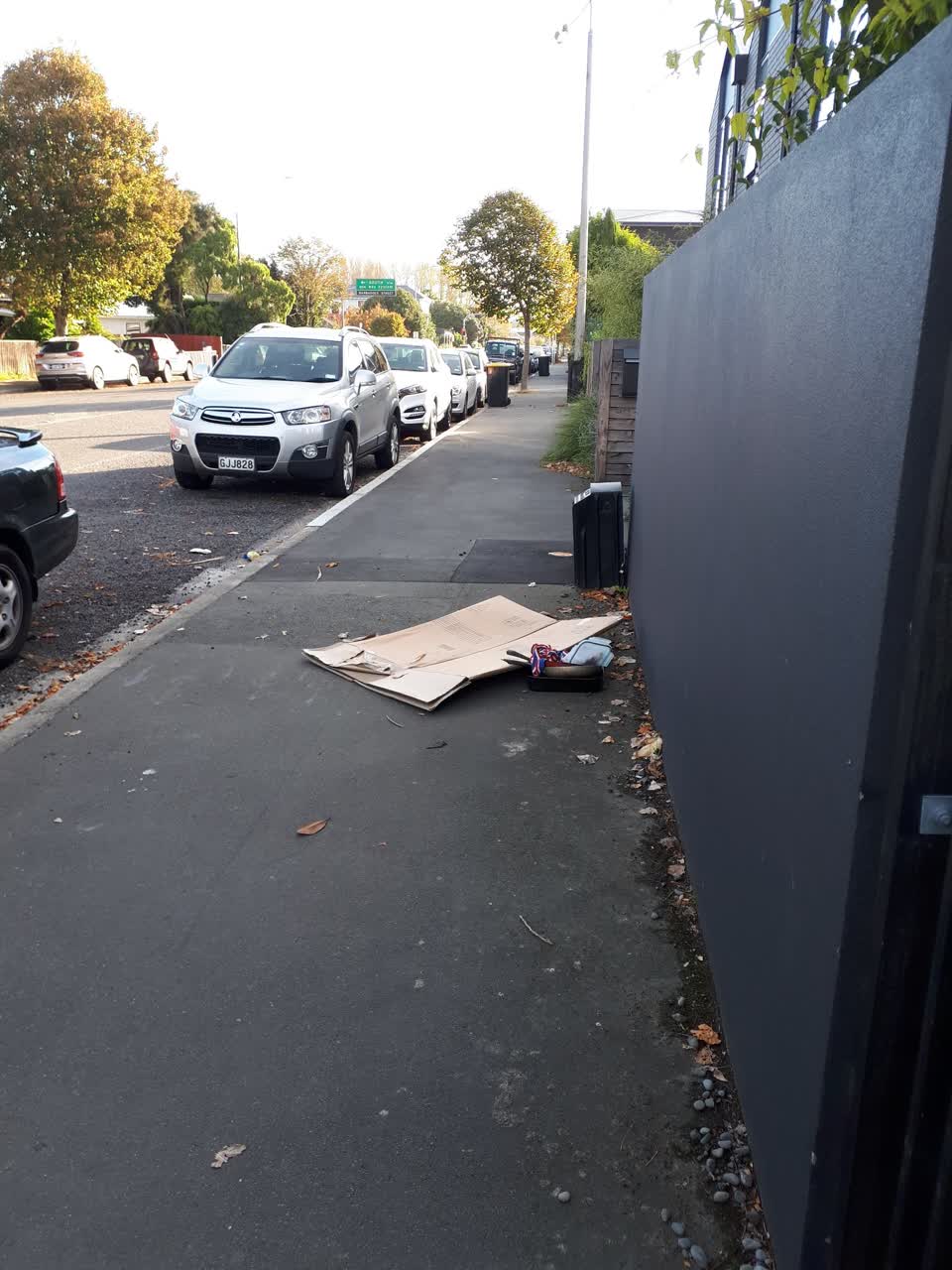 The photograph attached to this rubbish/recycling report