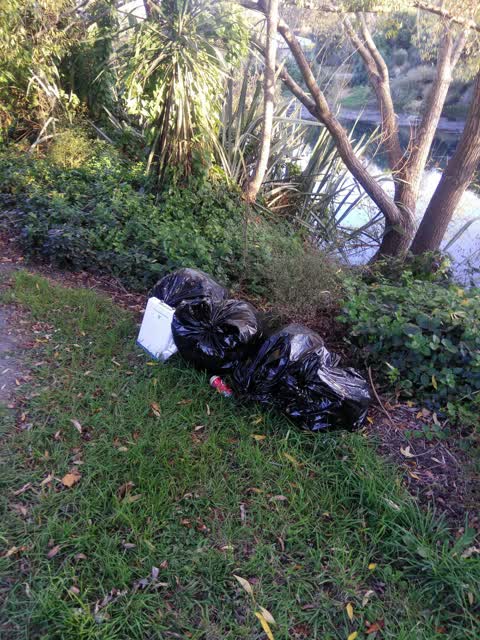 Rubbish/Recycling — a report photo