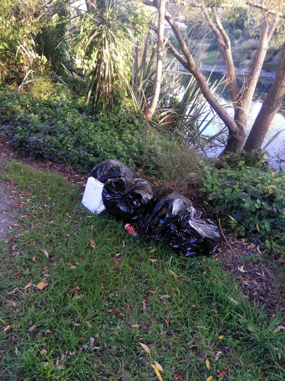 The photograph attached to this rubbish/recycling report