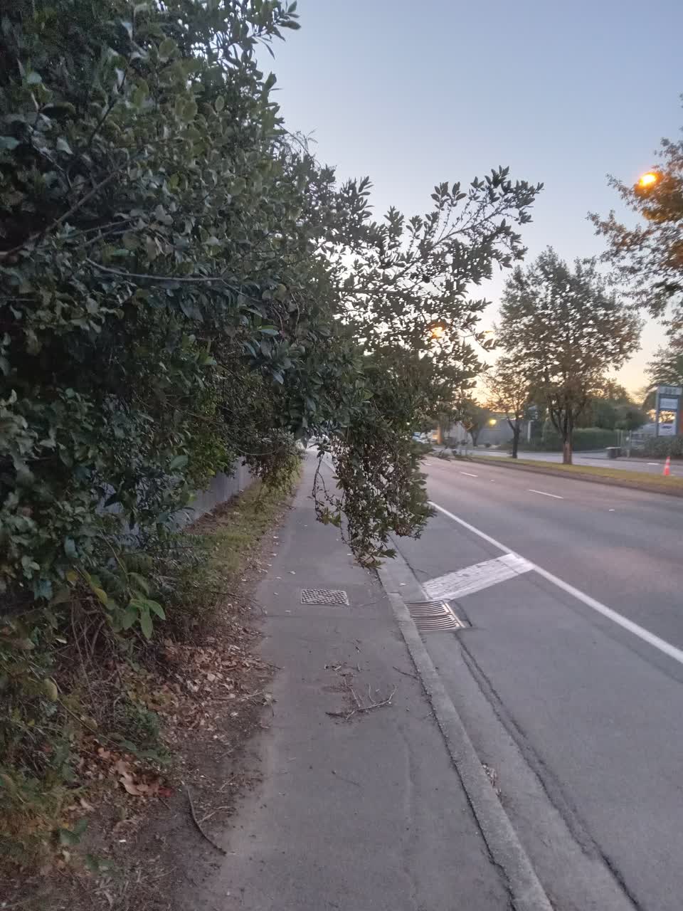 The photograph attached to this roading/streets report