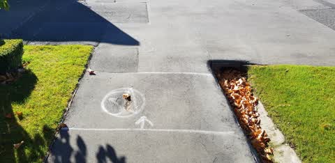 Roading/Streets, a report photo