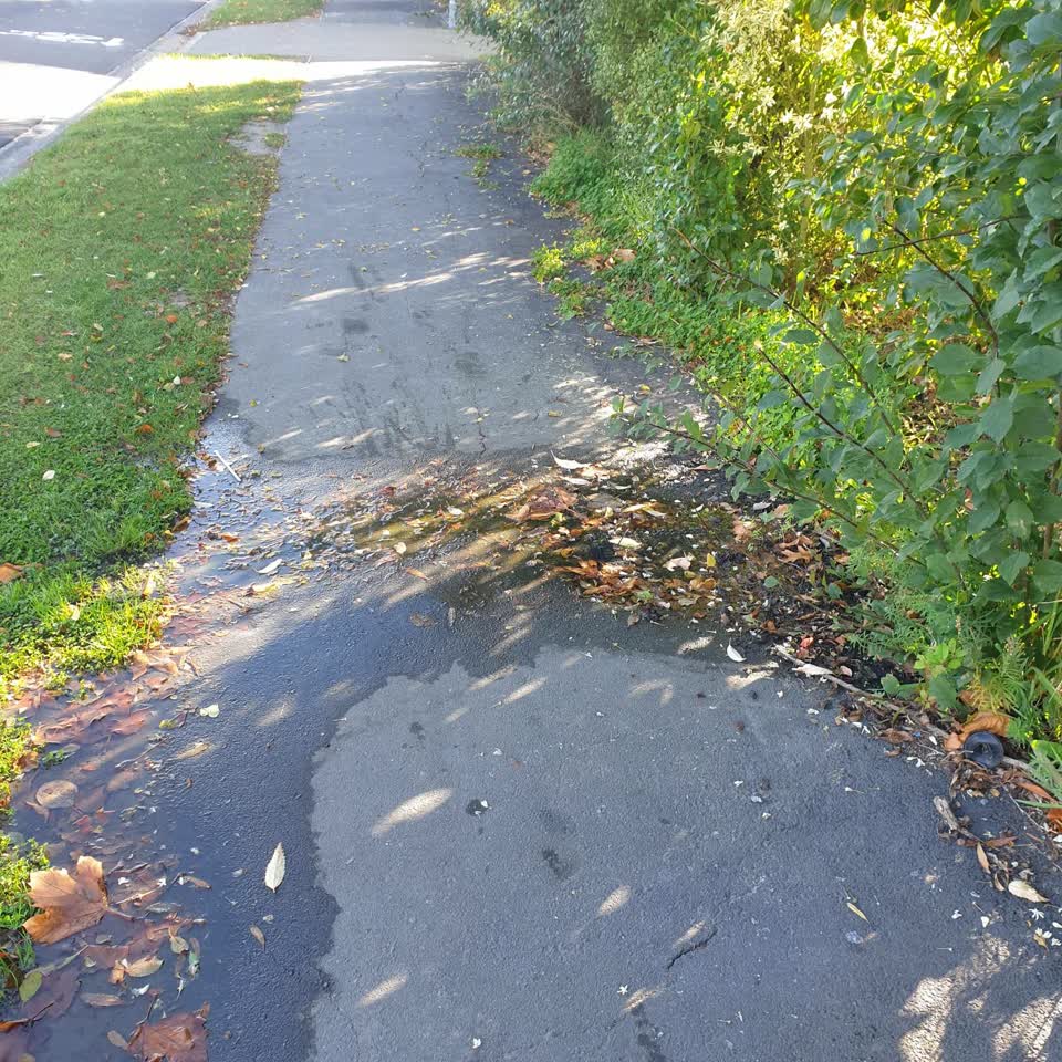 The photograph attached to this water leak report