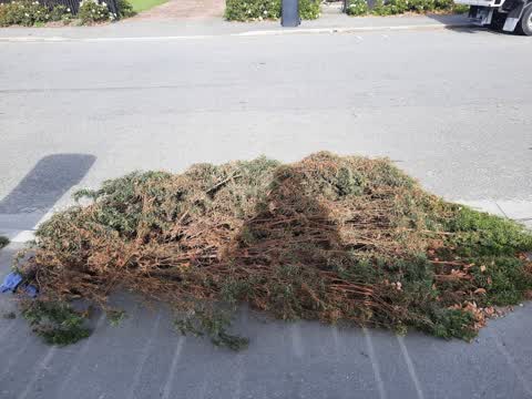 Rubbish/Recycling, a report photo