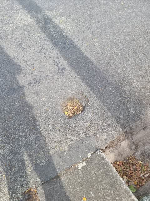 Roading/Streets, a report photo