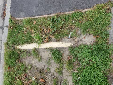 Roading/Streets, a report photo