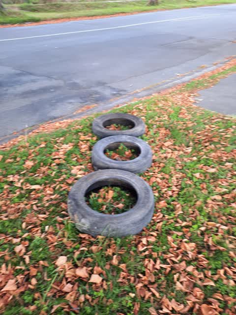 Rubbish/Recycling, a report photo