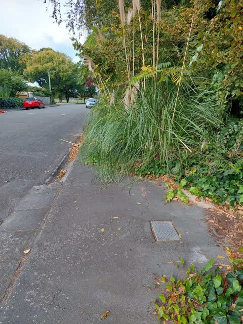 Roading/Streets, a report photo
