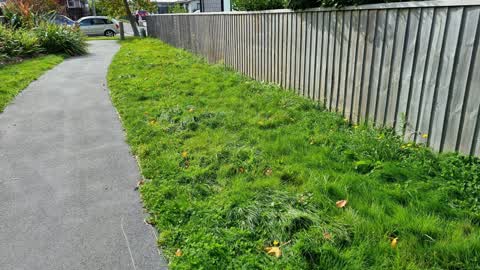 Parks, a report photo