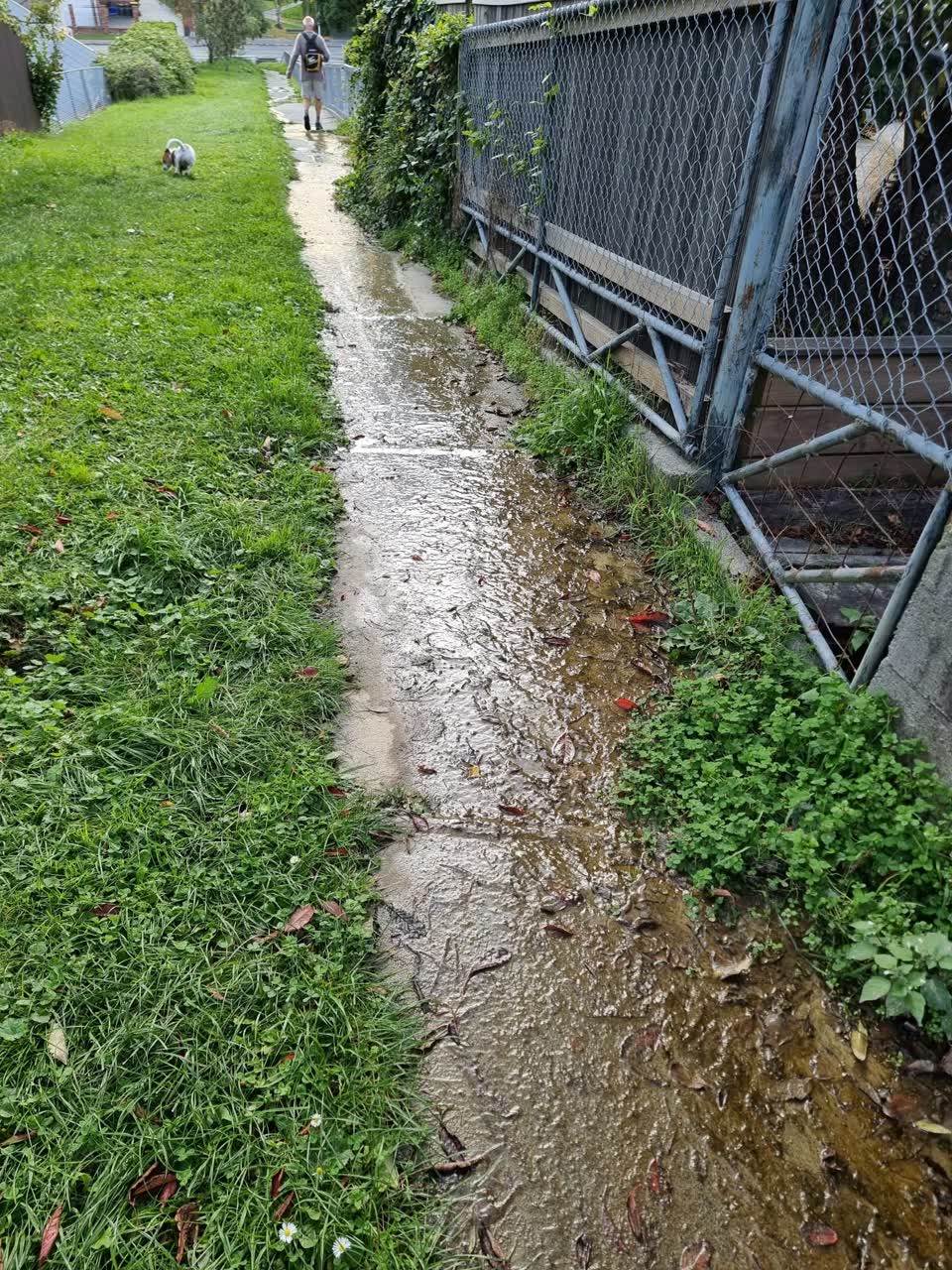 The photograph attached to this water leak report