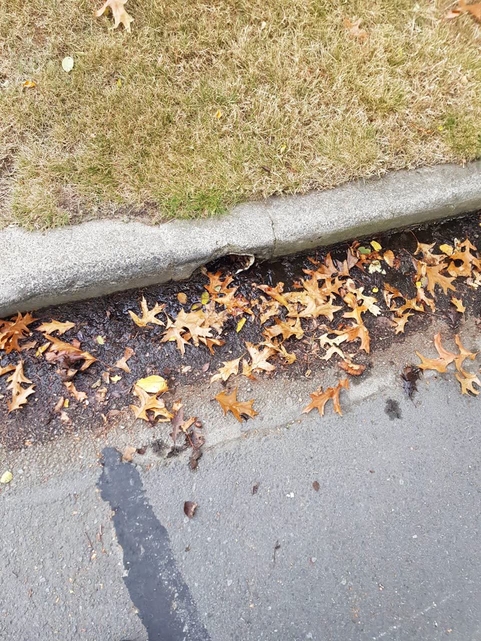 The photograph attached to this wastewater/stormwater report