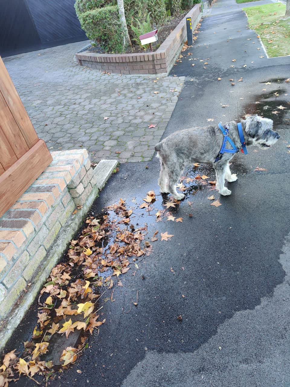 The photograph attached to this water leak report