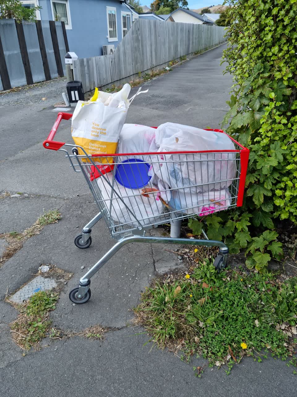 The photograph attached to this rubbish/recycling report