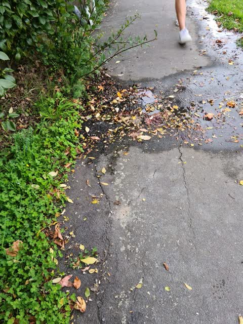 Water Leak — a report photo
