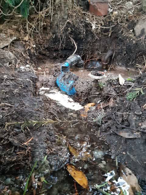 Water Leak, a report photo