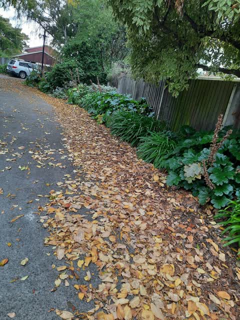 Roading/Streets, a report photo