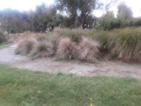 Parks, a report photo
