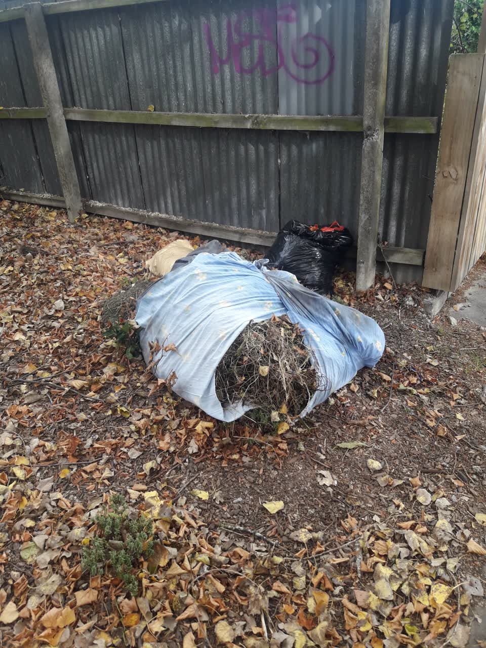 The photograph attached to this rubbish/recycling report