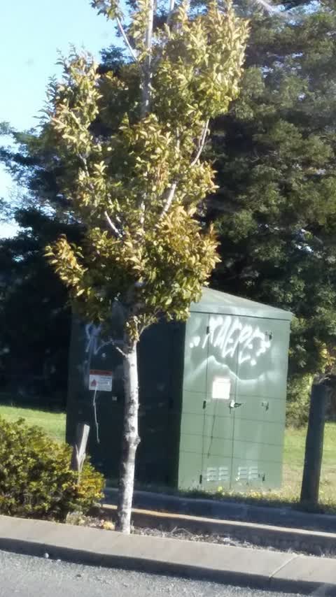 Graffiti, a report photo