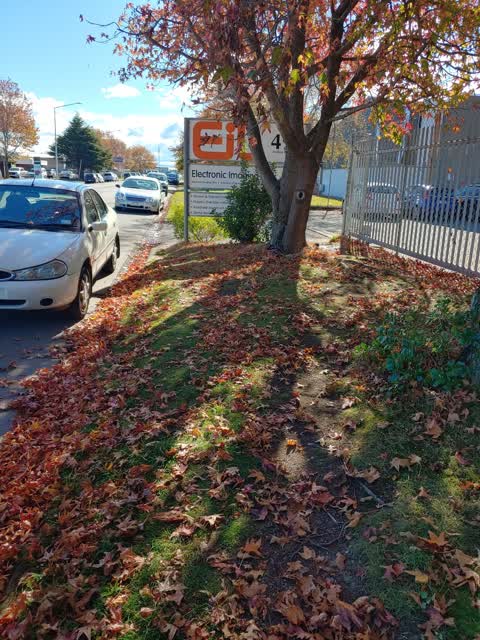 Roading/Streets, a report photo