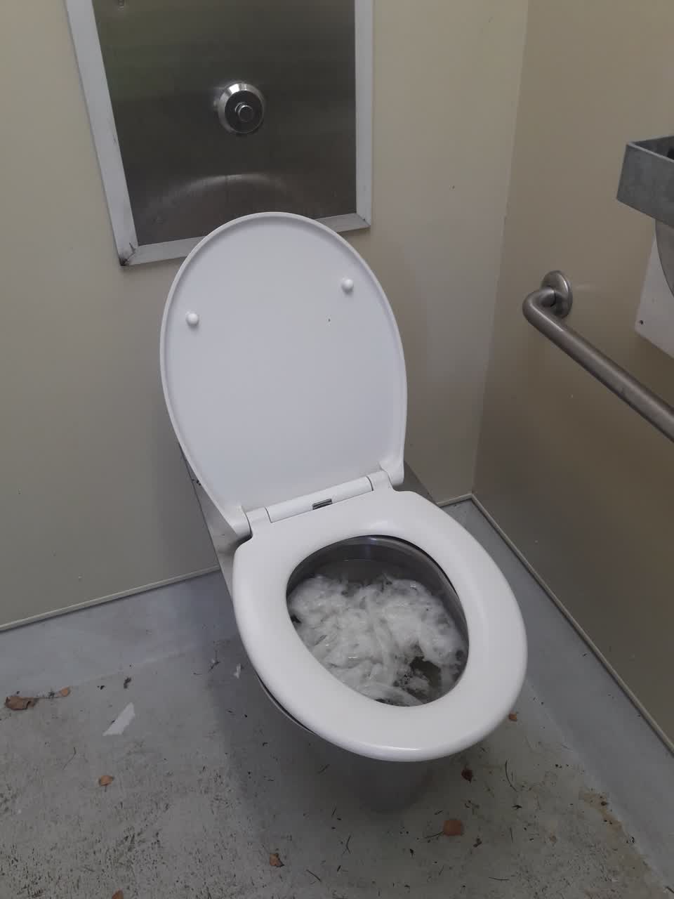 The photograph attached to this parks report