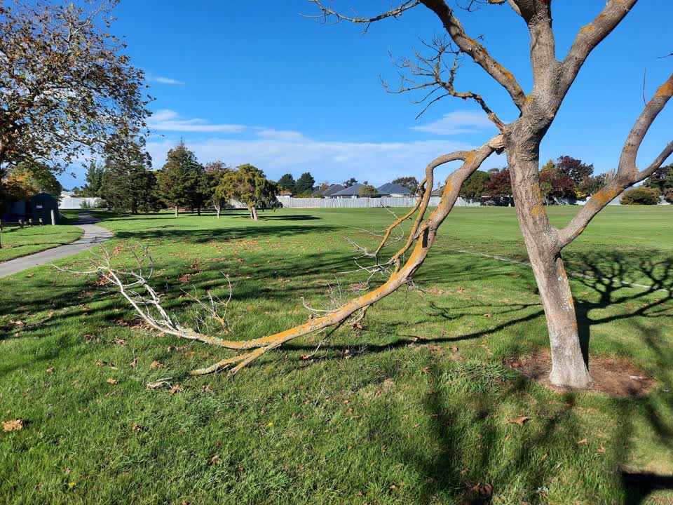 The photograph attached to this parks report