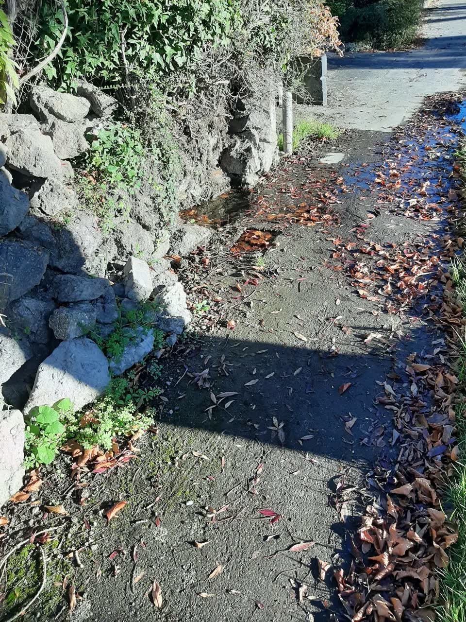 The photograph attached to this water leak report