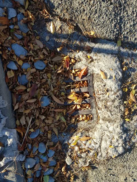 Wastewater/Stormwater, a report photo