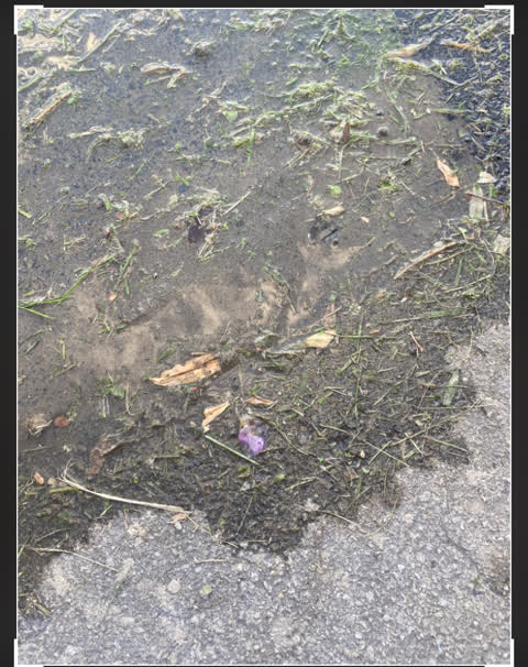 Water Leak, a report photo