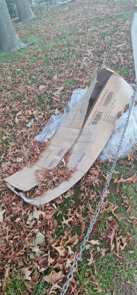 Rubbish/Recycling — a report photo