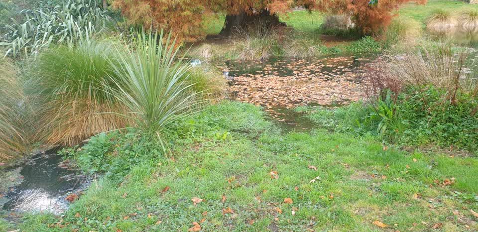 The photograph attached to this flooding report
