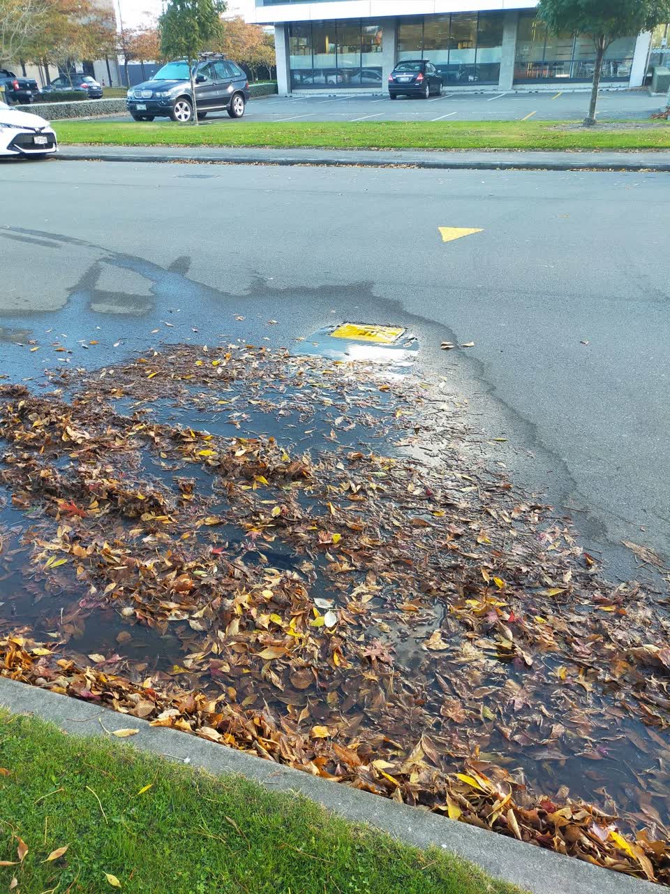 The photograph attached to this water leak report