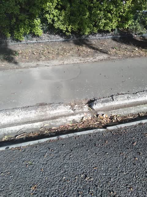 Roading/Streets, a report photo