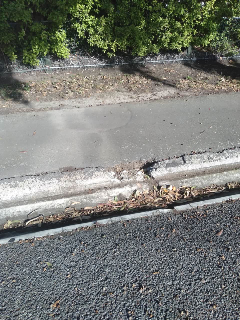 The photograph attached to this roading/streets report
