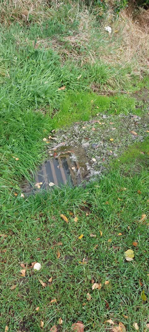 Sewer - Leak / Blockage, a report photo