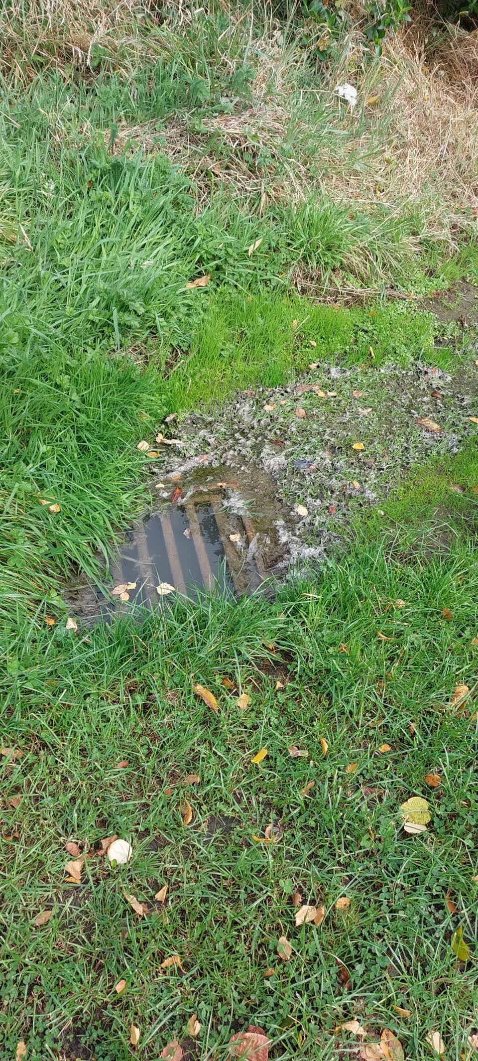 The photograph attached to this sewer - leak / blockage report