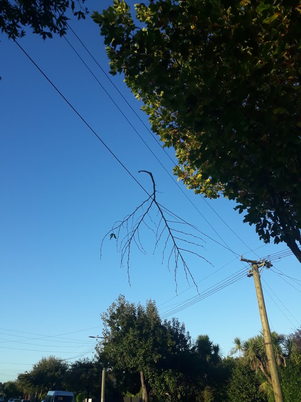 The photograph attached to this roading/streets report