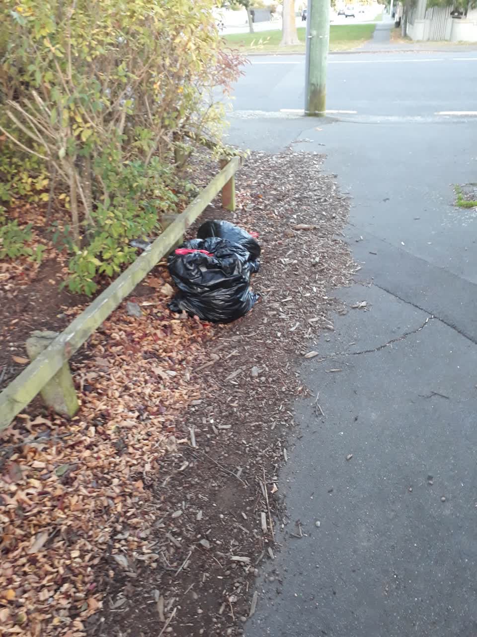 The photograph attached to this rubbish/recycling report