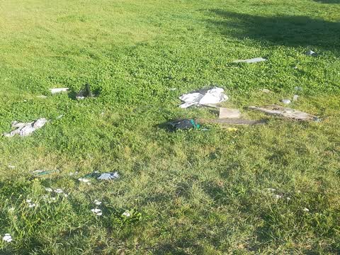 Rubbish/Recycling — a report photo