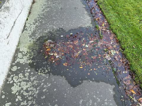 Water Leak, a report photo