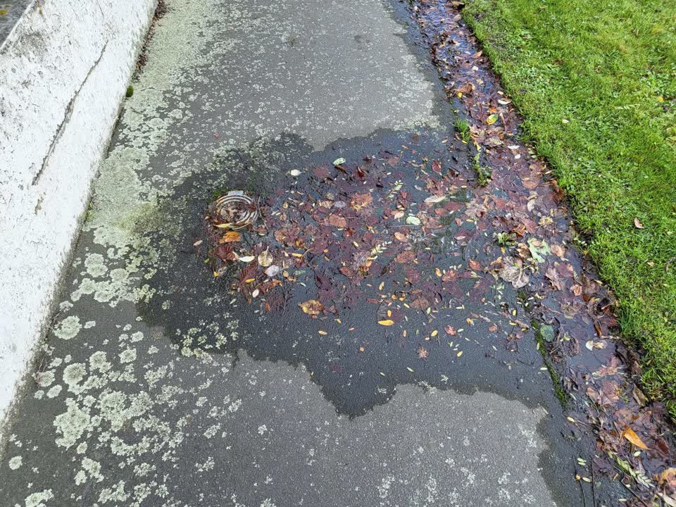 The photograph attached to this water leak report