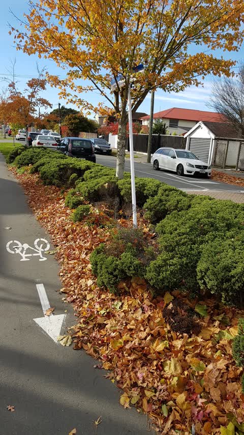 Roading/Streets, a report photo
