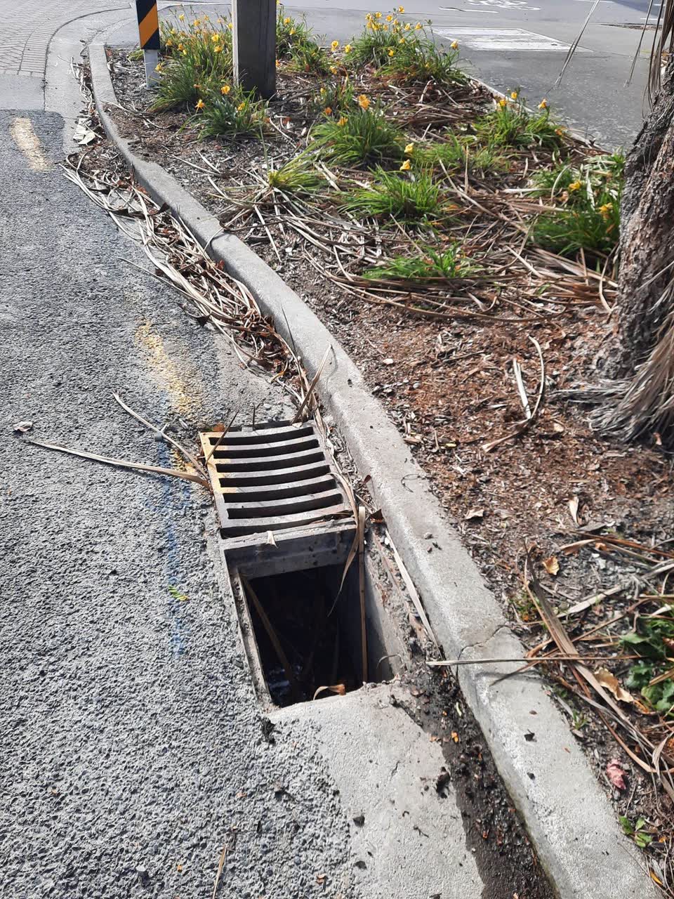 The photograph attached to this wastewater/stormwater report