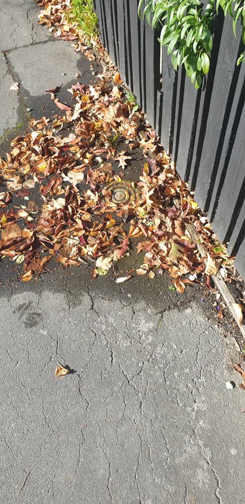 Water Leak, a report photo