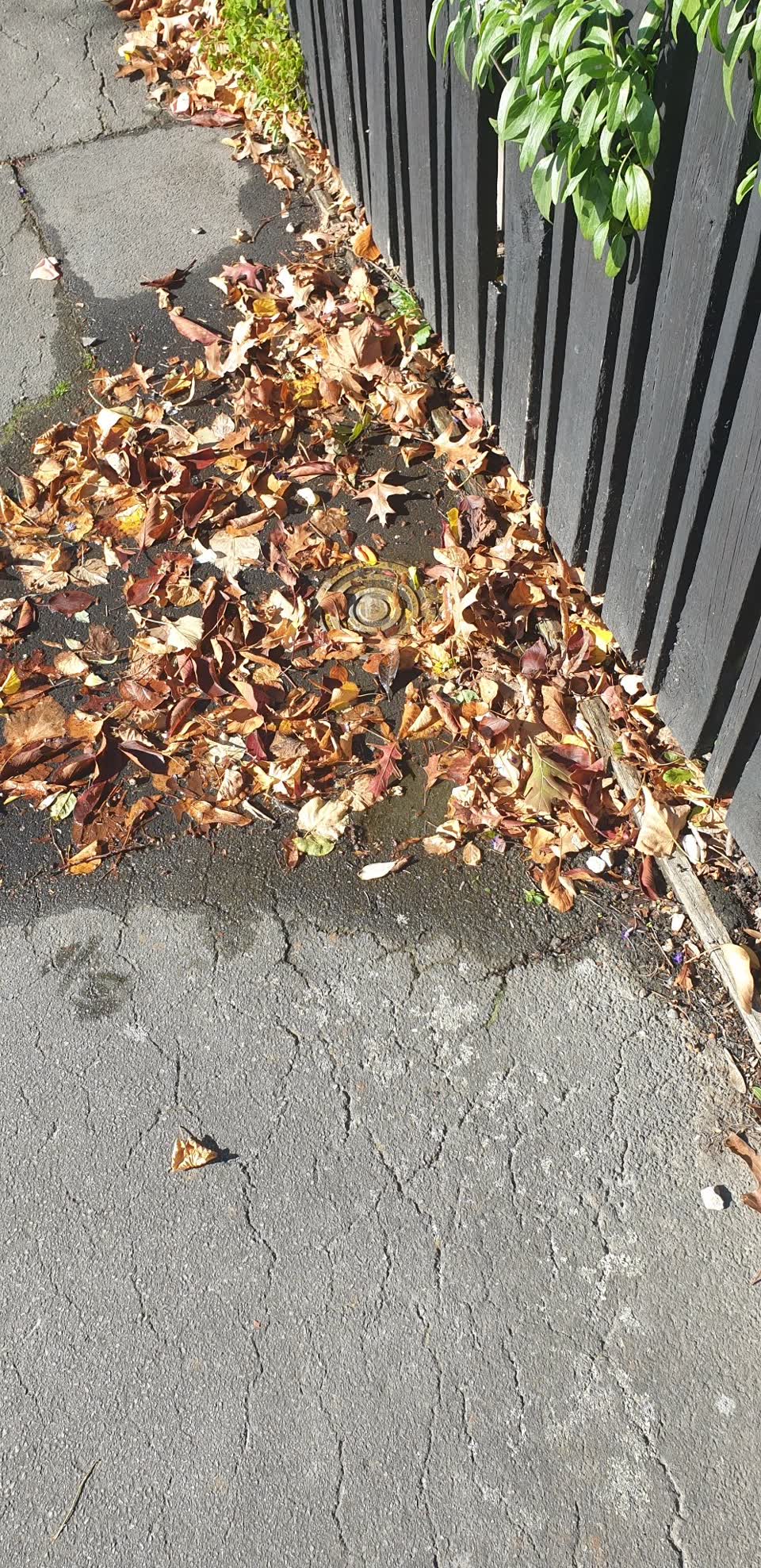 The photograph attached to this water leak report