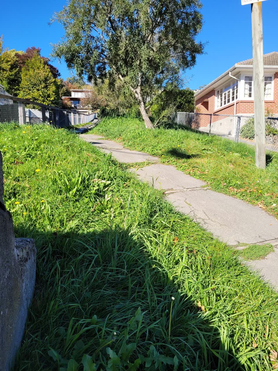 The photograph attached to this water leak report